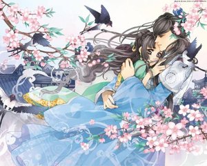 深入了解 丝瓜黄瓜茄子秋葵草莓榴莲污